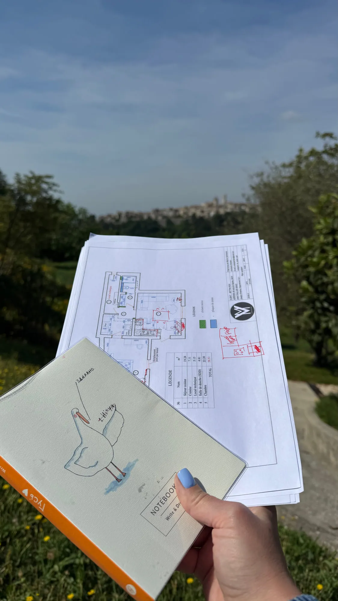 Survey & measurement